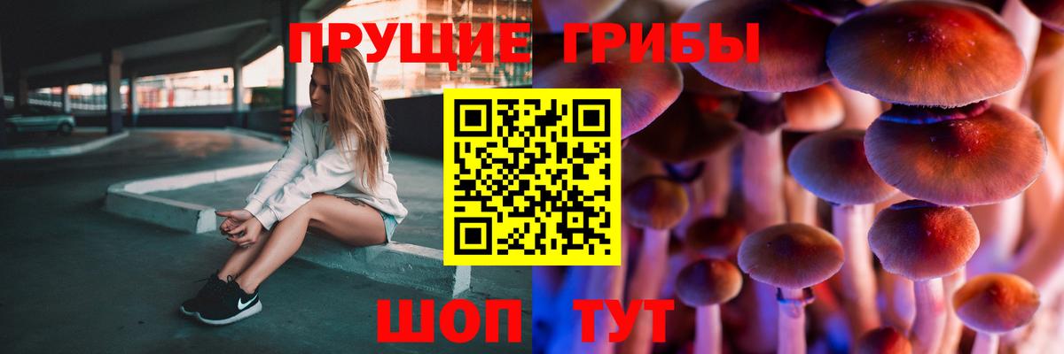 Псилоцибиновые грибы прущие грибы  Вход с VPN  Дедовск 