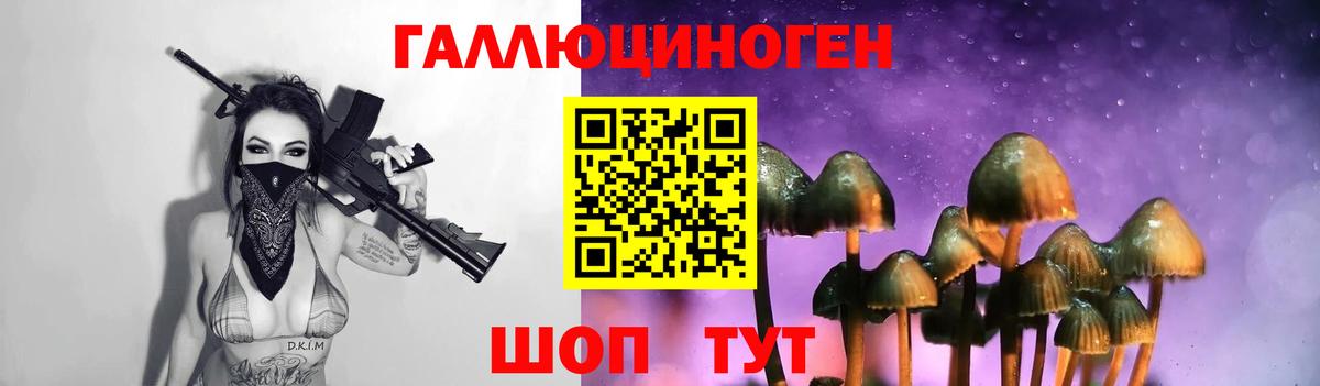 Псилоцибиновые грибы мицелий Дедовск